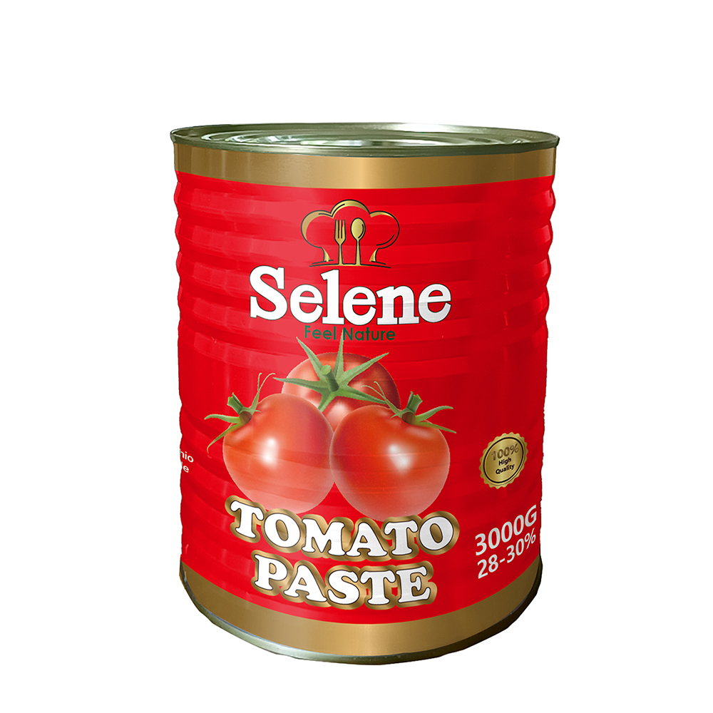 Tin tomato paste 3000g