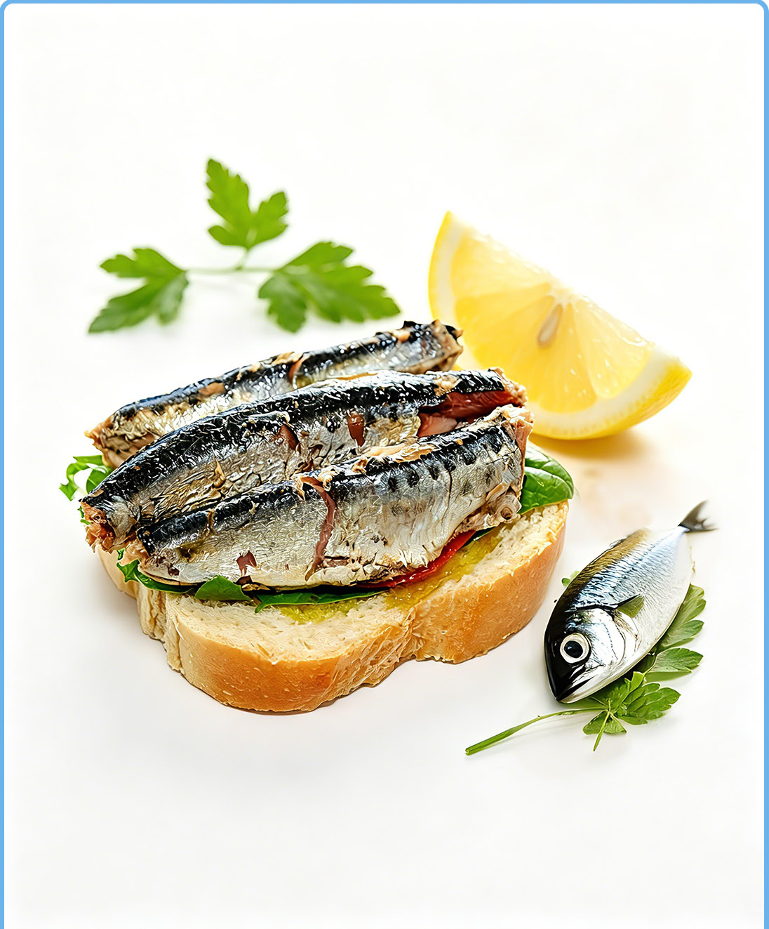 Canned fish
