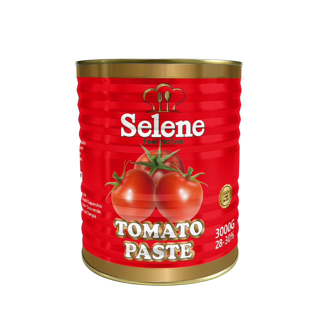 Tin tomato paste 3000g